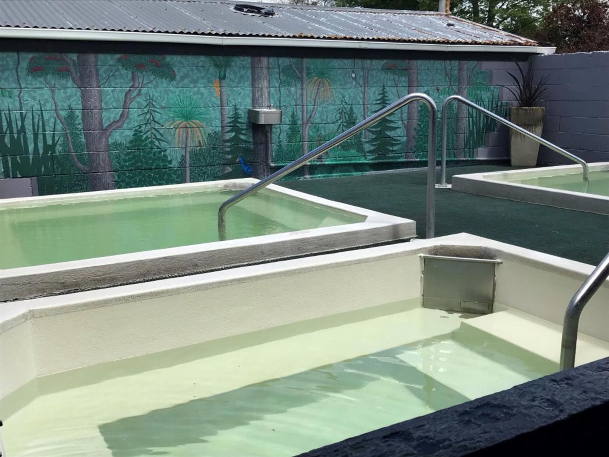 Rotorua Thermal Holiday Park المظهر الخارجي الصورة